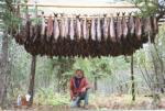 Alaska Fish