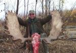 Alaska Moose