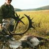 Alaska caribou