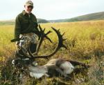 Alaska caribou