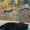 alaska 4