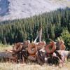ALBERTA SHEEP 4
