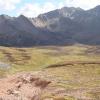 Gully-Rocky-Mtn-Sheep-5