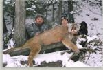 BC Cougar 6