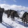 Kyrgyzstan