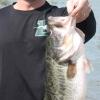 Mexican-Bass-2