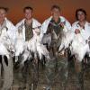 Mexican-Goose-1