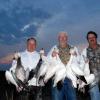 Mexican-Goose-4