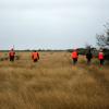 Bird Hunt 2