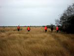 Bird Hunt 2