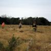 Bird Hunt 4