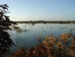 Bird Hunt 7