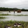 Mexico Bird Hunt Lodge