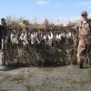 MEXICAN DUCK 18