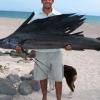 El-Carmen-Island-Sail-Fish