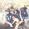 Nevada Desert Bighorn