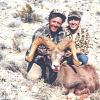 Nevada-Desert Bighorn (3)