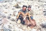 Nevada-Desert Bighorn (3)