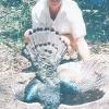 Yucatan-Oscillated turkey