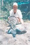 Yucatan-Oscillated turkey