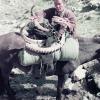 Good Ibex Hunt