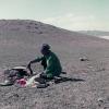 Morning Tea in the Gobi