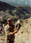 Nepal-Latham-Himalayan snow cock