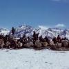 Sherpas-at-15-200-Nepal