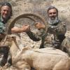 PAKISTAN sindh_ibex_l1