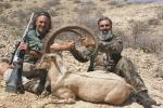 PAKISTAN sindh_ibex_l1