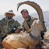 pakistan sindh ibex