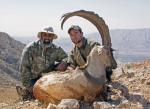 pakistan sindh ibex