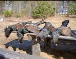 Capercaillie 2
