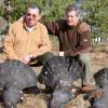 Capercaillie 3