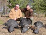 Capercaillie 3