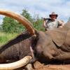 Danny's Elephant 2
