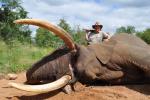 Danny's Elephant 2