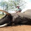 South Africa
