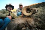 Texas-Desert Bighorn Sheep (2)