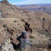 aoudad12