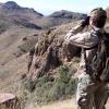 aoudad13