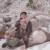 BEZOAR IBEX 2