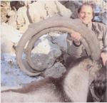 BEZOAR IBEX 3