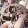 BEZOAR IBEX 4