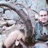 BEZOAR IBEX 7