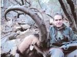 BEZOAR IBEX 7