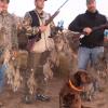 argentina-bird-hunt