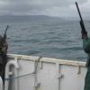 Iceland-4