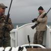 iceland-puffin-hunting