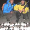 Iceland20